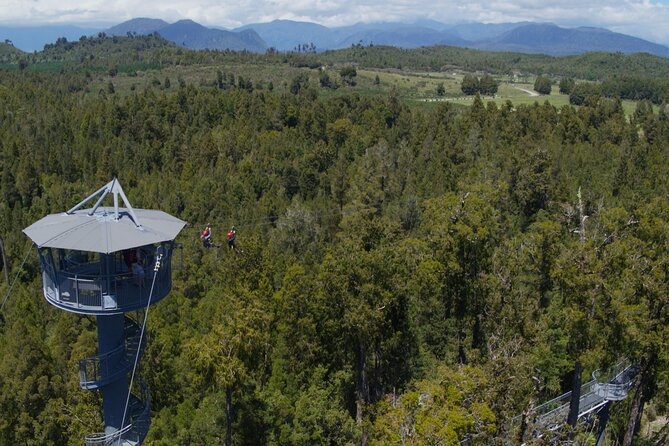 West Coast Tower Zipline & Treetop Walk Combo - Views from the treetops and the tower