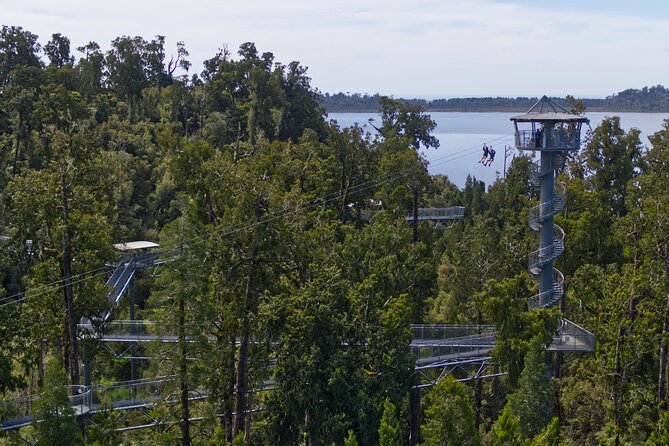 West Coast Tower Zipline & Treetop Walk Combo - Who will enjoy this most?