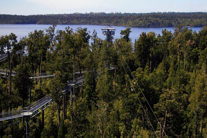 West Coast Tower Zipline & Treetop Walk Combo - Climbing the 106-step spiral tower