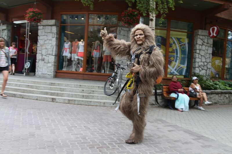 Whistler: The Longest Zipline in North America - Views down Fitzsimmons Valley make the price easier to accept