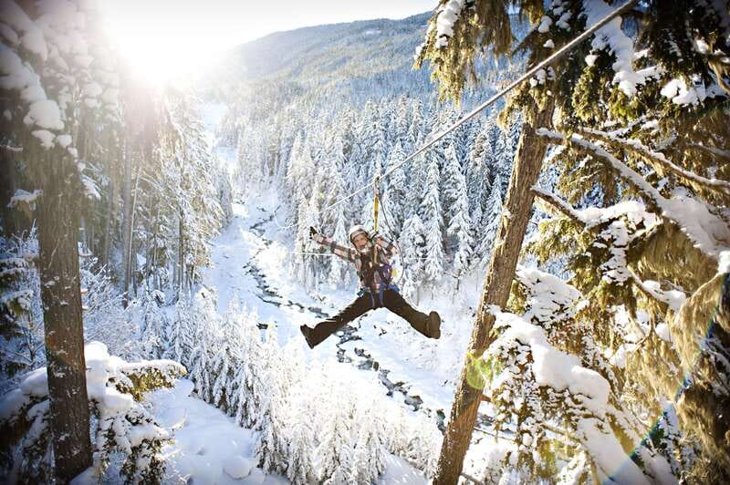 Whistler Zipline Experience: Ziptrek Bear Tour - Four ziplines from 400 to 1,100 feet