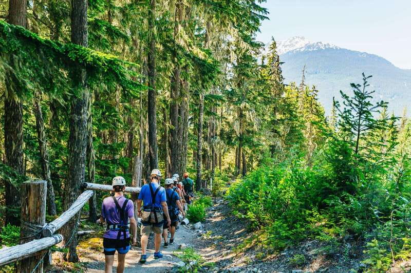 Whistler: Ziplining Experience - Starting at Carleton Lodge in Whistler Village