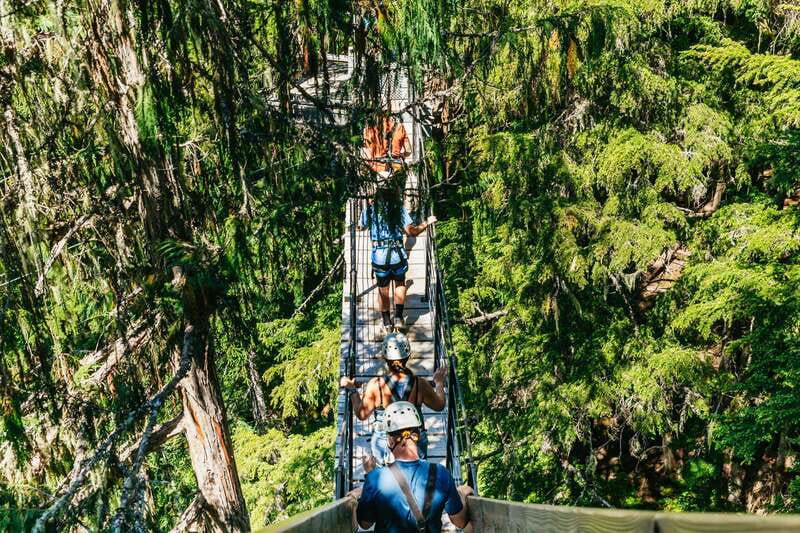 Whistler: Ziplining Experience - Four Treetop Bridges Add a Forest Walk