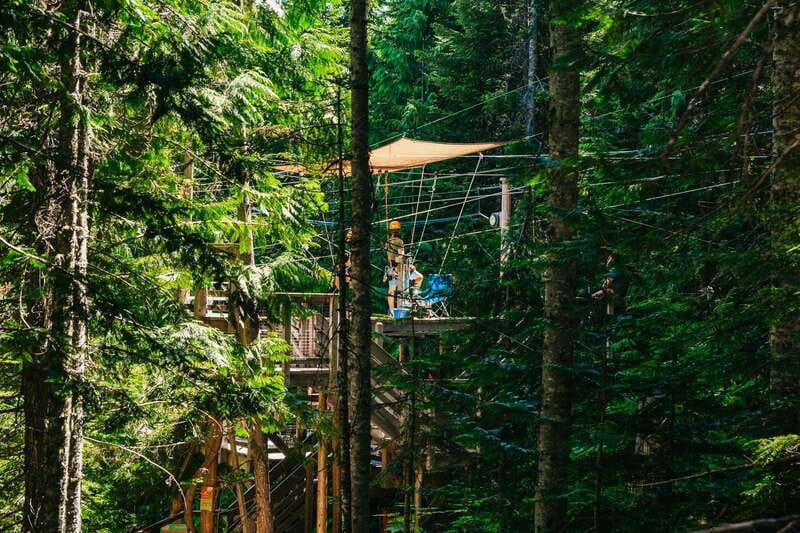 Whistler: Ziplining Experience - Are Five Ziplines Worth $130?