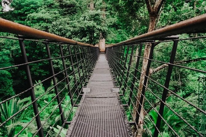 World A+ (Zipline 32 Platforms + Roller + Sky Walk with World Set Menu ) - The Rainforest Sky Walk is the right final pause