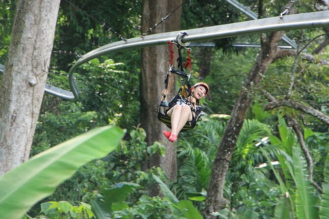 World B+ (Zipline 18 Platforms + Roller + Sky Walk with World Set Menu ) - Three abseils and the spiral staircase