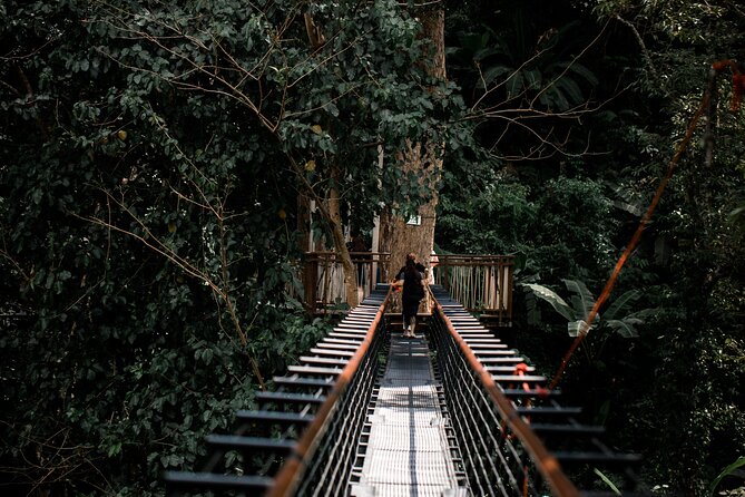 World B+ (Zipline 18 Platforms + Roller + Sky Walk with World Set Menu ) - Who should book this Phuket adventure?