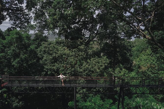 World C+ (Ziplines 10 Platforms + Roller + Sky Walk and World Set Menu ) - The 800-meter roller zip is the main event