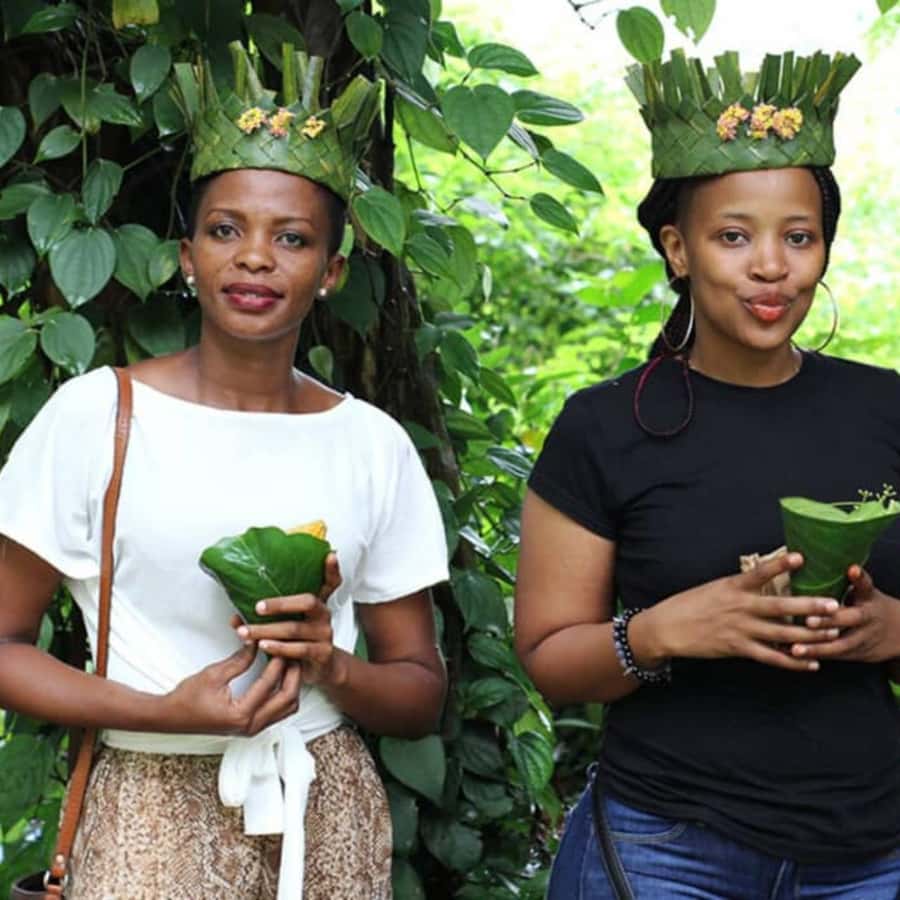 Zanzibar: Zipline Adventure At Masingini Forest - What $130 buys you