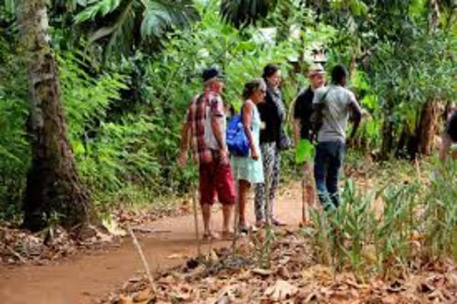 Zanzibar: Zipline Adventure At Masingini Forest - Practical preparation for a smoother outing