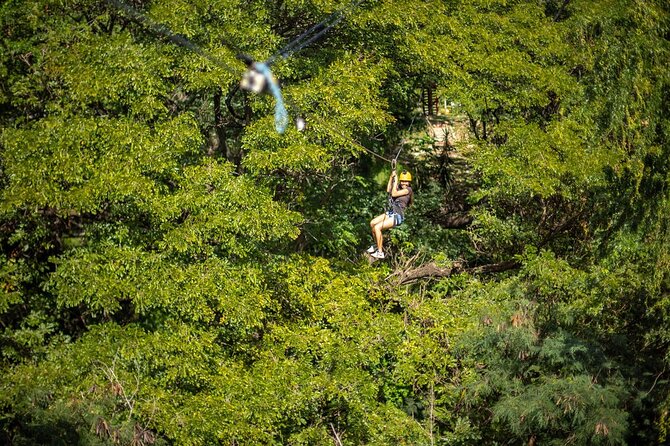 Zip & Dip: Zipline and Wet 'n' Wild Waterpark Combo - Lunch is flexible, but not included