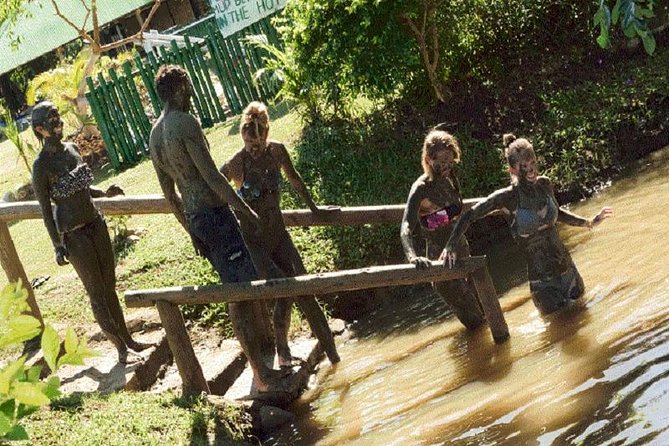 Zip line Fiji ex Fiji Marriot w/private transfer dropoff Nadi Airport or resort - Lunch at the Park