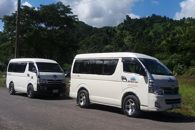 Zip line Fiji ex Fiji Marriot w/private transfer dropoff Nadi Airport or resort - Who Will Enjoy This Most?