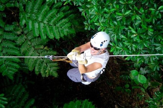 Zip line Fiji ex Fiji Marriot w/private transfer dropoff Nadi Airport or resort - The Climb: Nearly 1,980 Steep Steps