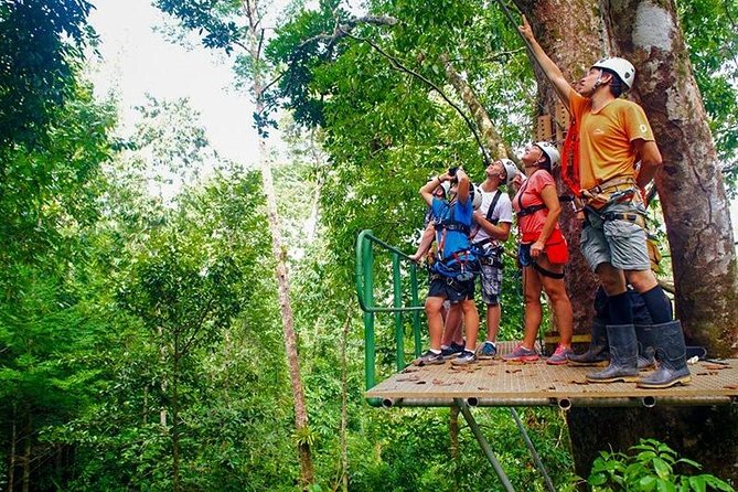 Zip Line - Half Day Adventure - Who will enjoy this most