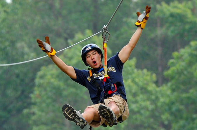 Zip Line - Half Day Trip - Is $90 a Fair Price?