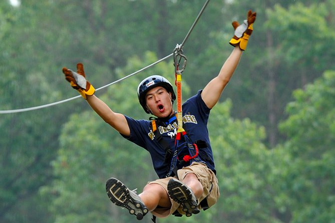 Zip Line in Punta Cana - Key Points Before You Book