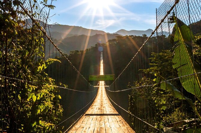 Zip Line, Mules Ride and Walk on the Hanging Bridge - A 15-minute mule ride through the forest