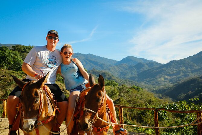 Zip Line, Mules Ride and Walk on the Hanging Bridge - Private transportation and a small group