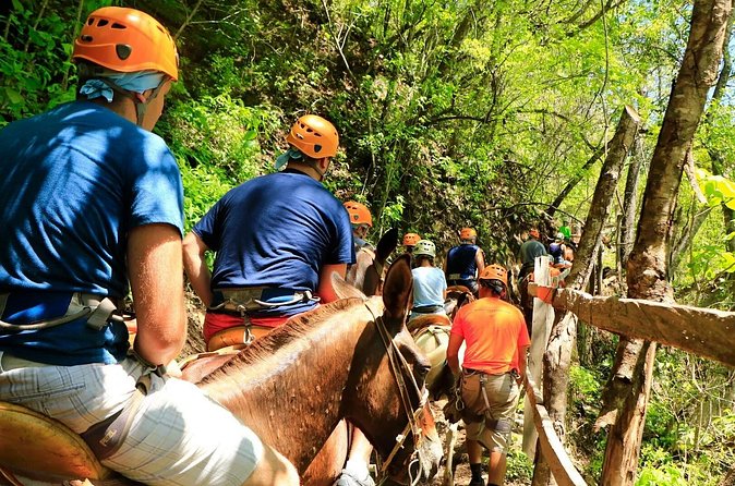 Zip Line, Mules Ride and Walk on the Hanging Bridge - Who will enjoy this Puerto Vallarta adventure