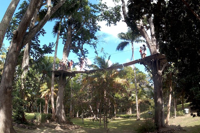 Zip Line over the Dunns River Falls - Leaving Montego Bay at 9:00 a.m.