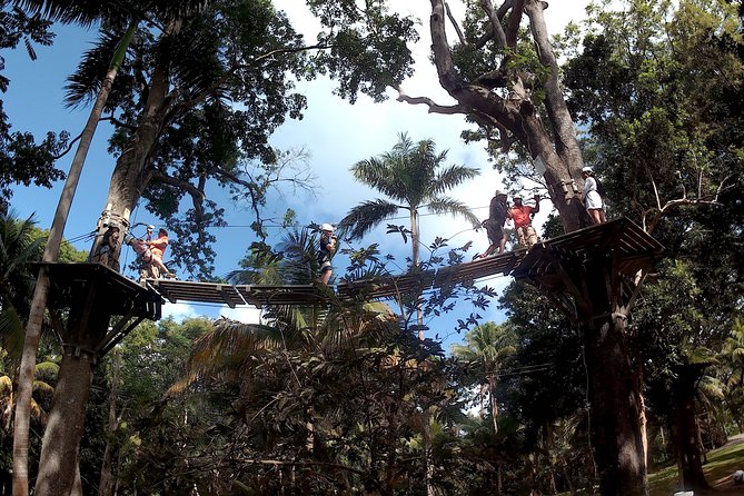 Zip Line over the Dunns River Falls - The Zipline: Scenic, Safe, and Short