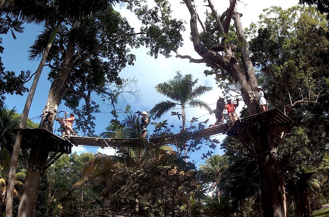 Zip Line over the Dunns River Falls - Exploring the Terraced Waterfalls