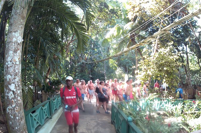 Zip Line over the Dunns River Falls - What the Private Format Adds