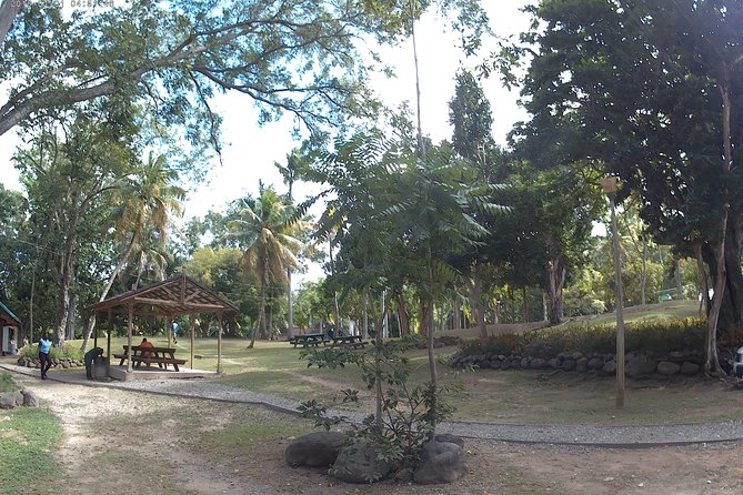 Zip Line over the Dunns River Falls - Safety and Comfort on the Course