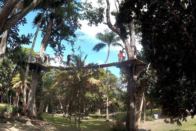 Zip Line over the Dunns River Falls - Photos, Guides, and the Human Touch