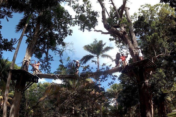 Zip Line over the Dunns River Falls - Is $192.67 a Fair Price?