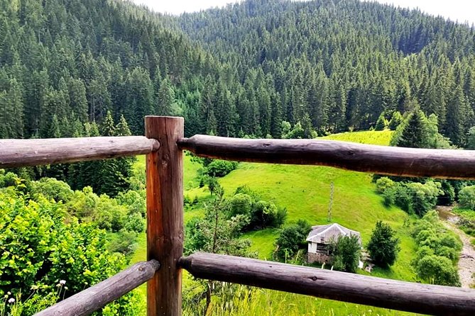 Zip Line & Via Ferrata Experience in the Rhodope Mountains - Preparing for the 35-meter alpine trolley