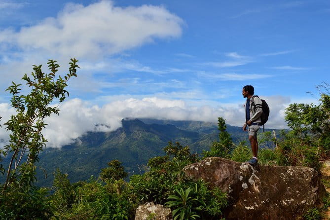 Zip Lining Experience in Ella - Safety rules that affect your booking