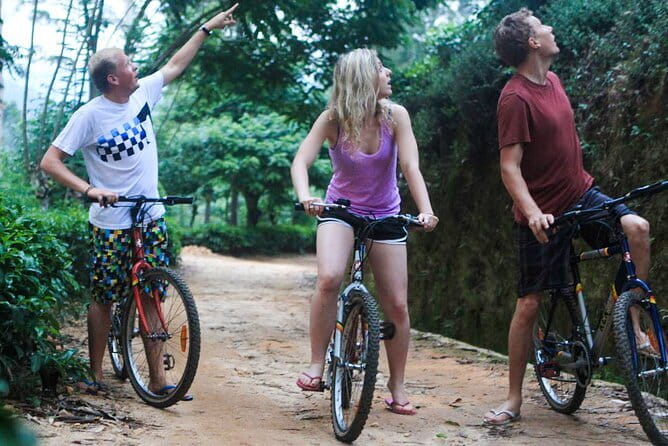 Zip Lining Experience in Ella - Choosing the best time and day