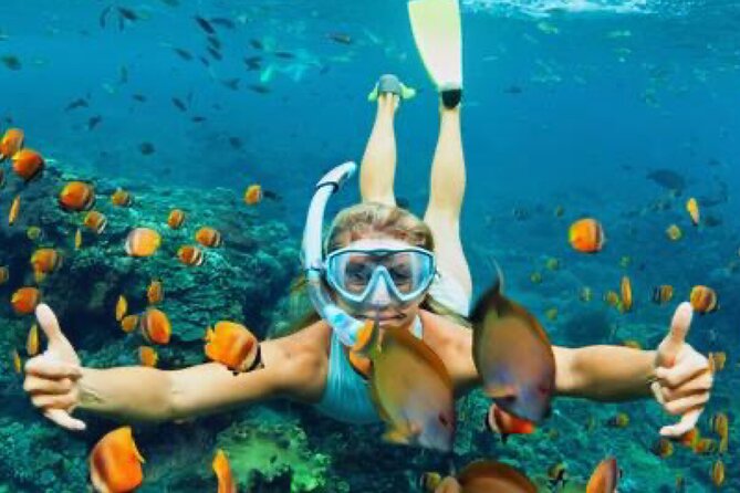Zip-lining/Horseback Rides/Cat & Atv Inclusive Act with Transpo From Montego Bay - What private touring really changes