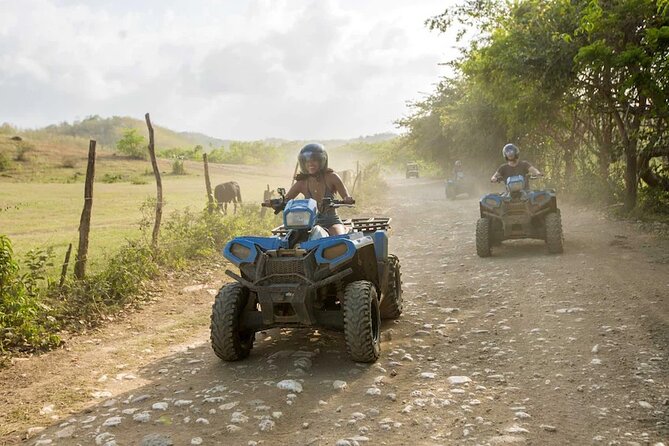Zip-lining/Horseback Rides/Cat & Atv Inclusive Act with Transpo From Montego Bay - ATV trails through puddles and dry ground