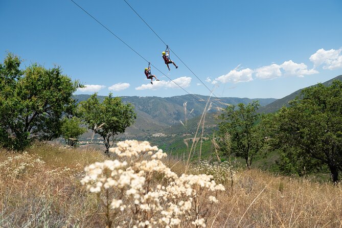 Zip Zoom Ziplines at La Jolla Indian Adventure Park - The scenery: oak country with mountain views