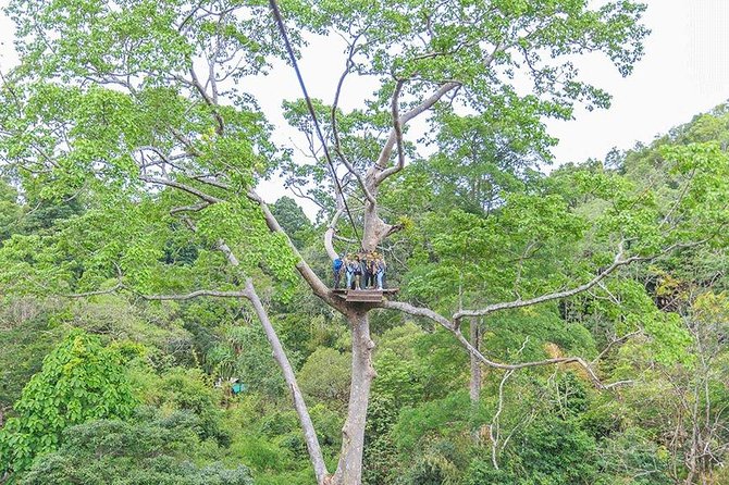 Zipline 18 Platforms and ATV Adventure Tour From Phuket - The 18-platform zipline course