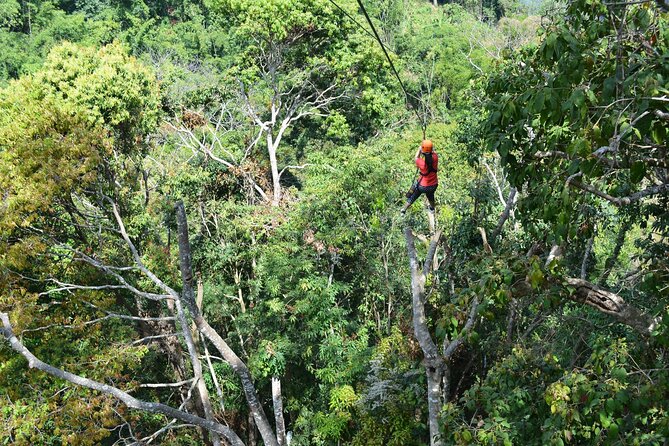 Zipline Adventure at Skyline Jungle Luge Chiang Mai - Who Will Enjoy This Most?