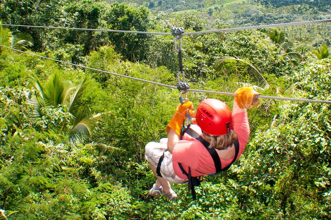 Zipline Adventure in El Limón - Ten Cables, Twenty Platforms, and a Sense of Progress