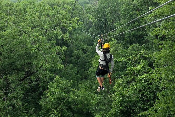 Zipline Adventure in Galena, Illinois - Key points to know before you book