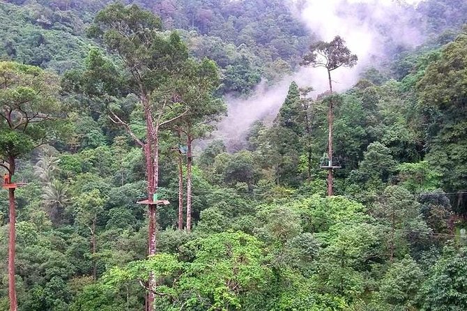 Zipline Adventure in KohSamui 10 Cables with Mountain & Sea Views - Flying through the Koh Samui rainforest