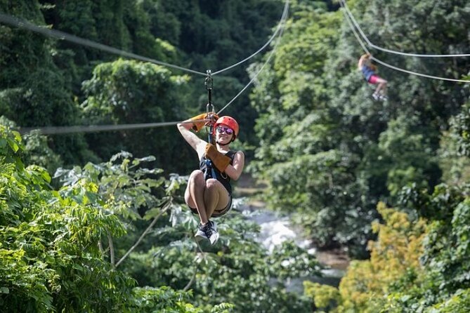 Zipline Adventure in Punta Cana – Thrilling Canopy Experience - Who should book this Punta Cana zipline tour