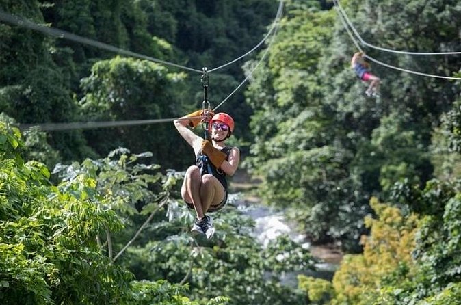 Zipline Adventure in Punta Cana – Thrilling Canopy Experience - Booking advice, weather, and cancellation terms