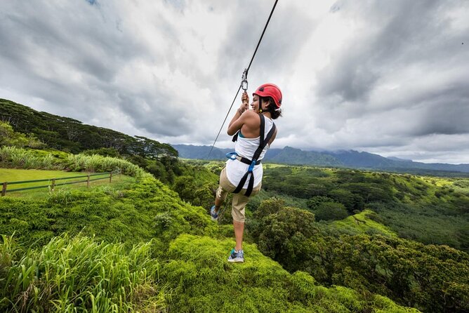 Zipline Adventure in Punta Cana – Thrilling Canopy Experience - Mountain countryside views, not just a ride through trees
