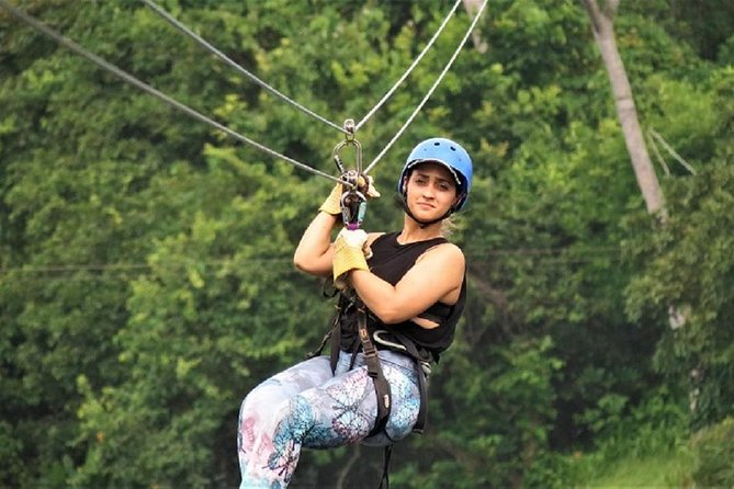 Zipline Adventure In The Rainforest - Key Points Before You Book