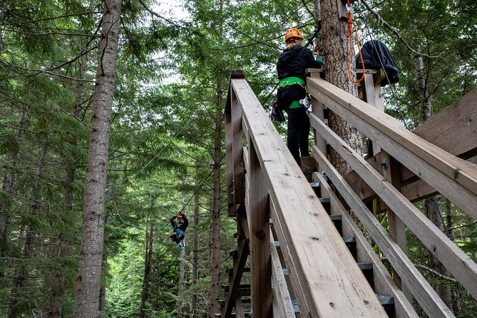 Zipline Adventure in Whistler - The physical demands: read this before choosing