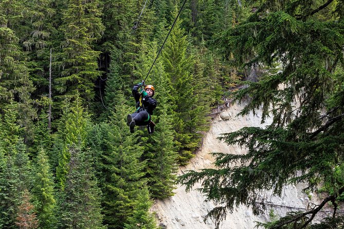 Zipline Adventure in Whistler - Is $126.41 a fair price?