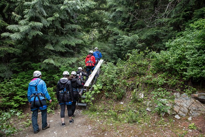 Zipline Adventure in Whistler - What the forest portion adds