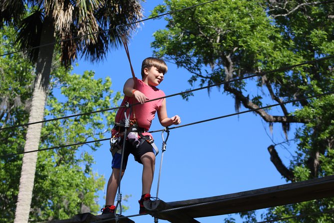 Zipline Adventure through Tuscawilla Park - At a Glance: What Makes This Course Worth Your Time
